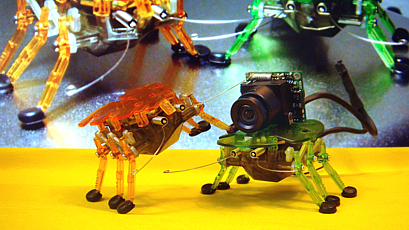 Ballettikka Internettikka Insecttikka