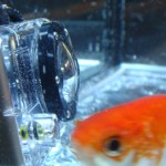 frame from the video