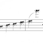 drawing by_ Tereza Merlini